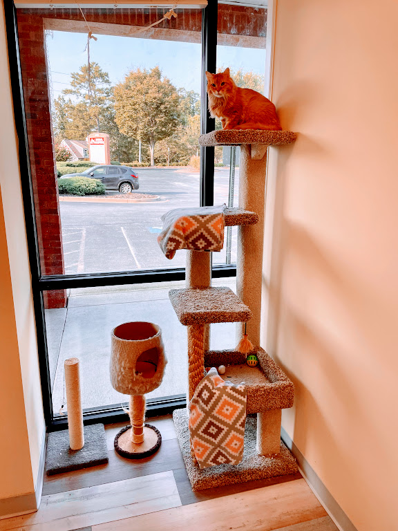 PET BOARDING HAPPY TAILS ANIMAL HOSPITAL